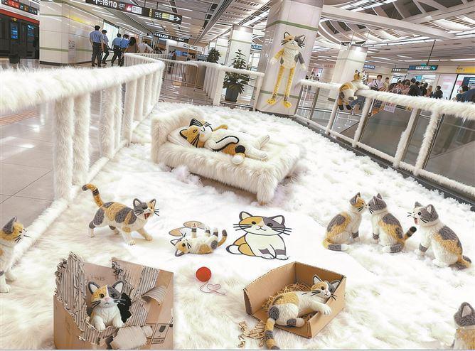 2025年厦门城市设计周 推动设计与城市发展深度共生 2025年厦门城市设计周 推动设计与城市发展深度共生