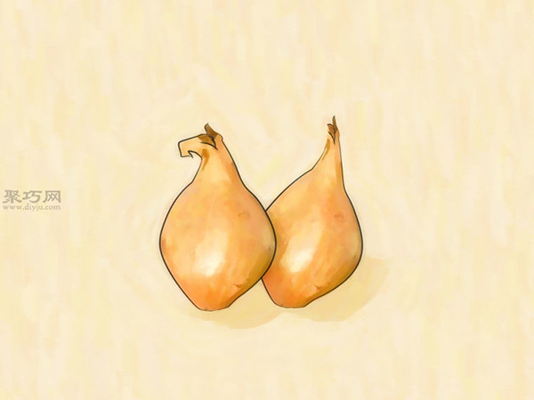 怎样在室内花盆里种植葱 8