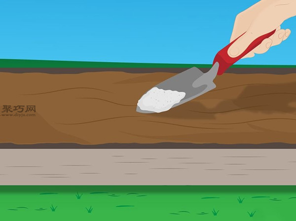 种植菠菜方法 7