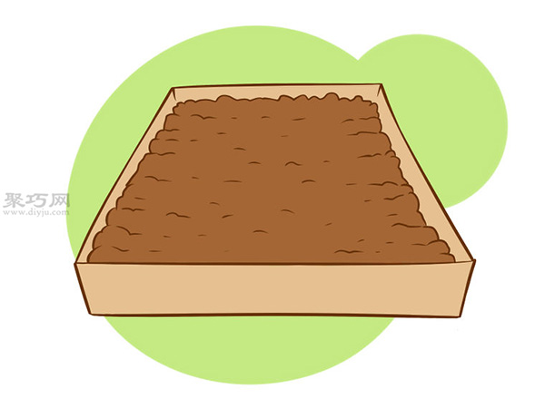 怎么样种植一年花冠芦笋 11