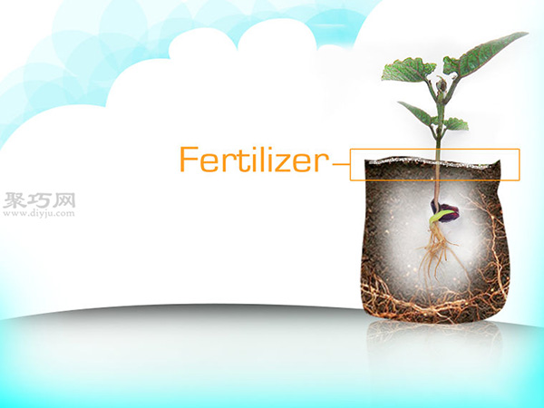 种植甘蓝图解教程 10