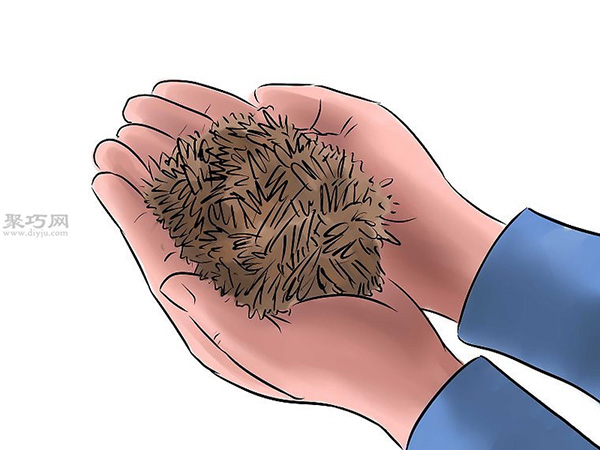 种黄瓜图片教程 6