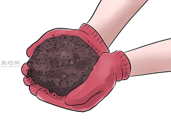 种黄瓜图片教程 14