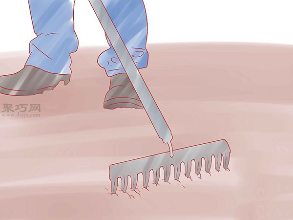 怎样种植香草 9