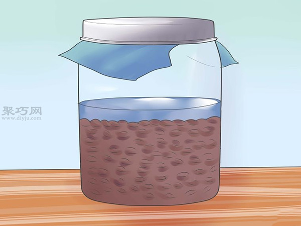 怎么样让谷物发芽 16