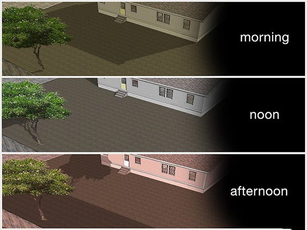 怎么样种植豆类 1