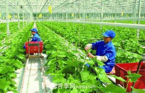 有机产品395个，南阳有机农业全国第一是怎样炼成的？(图1)