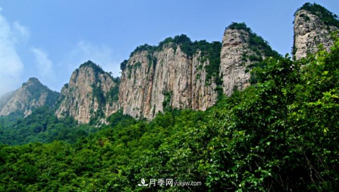 河南五个绿色“海洋”,在20度的森林中呼吸,让你流连忘返(图3) 河南五个绿色“海洋”,在20度的森林中呼吸,让你流连忘返(图3)