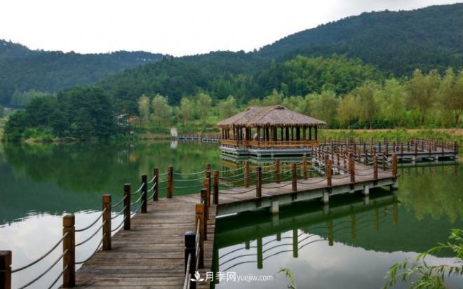 河南五个绿色“海洋”,在20度的森林中呼吸,让你流连忘返(图9) 河南五个绿色“海洋”,在20度的森林中呼吸,让你流连忘返(图9)