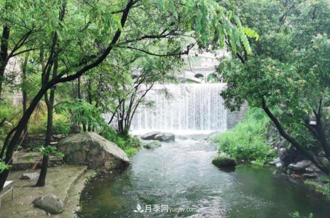 河南五个绿色“海洋”,在20度的森林中呼吸,让你流连忘返(图4) 河南五个绿色“海洋”,在20度的森林中呼吸,让你流连忘返(图4)