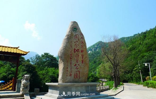 河南五个绿色“海洋”,在20度的森林中呼吸,让你流连忘返(图1) 河南五个绿色“海洋”,在20度的森林中呼吸,让你流连忘返(图1)