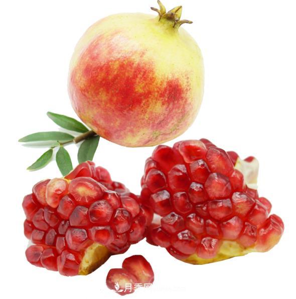 河南淅川软籽石榴林果开发基地(图1) 河南淅川软籽石榴林果开发基地(图1)