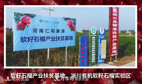 南阳特产:淅川软籽石榴(图4) 南阳特产:淅川软籽石榴(图4)