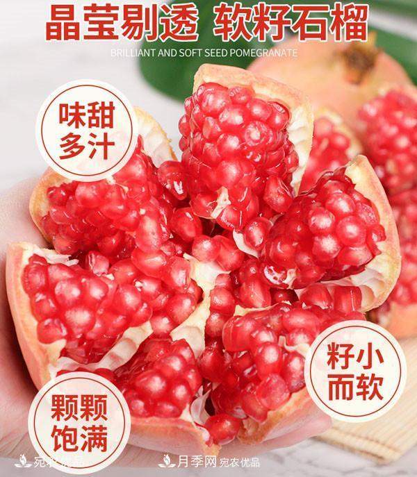 南阳特产:淅川软籽石榴(图1) 南阳特产:淅川软籽石榴(图1)