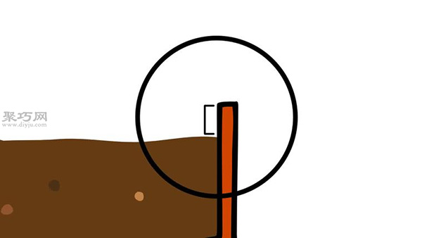 自家怎样种植柑橘 柑橘栽培种植技术