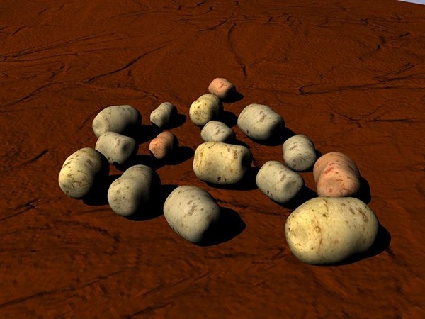 种土豆图解教程 1