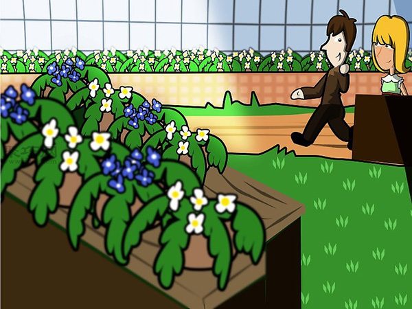 苗圃业创业都要做哪些准备工作 苗圃业创业都要做哪些准备工作