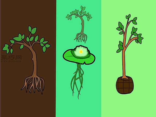 苗圃业创业都要做哪些准备工作 苗圃业创业都要做哪些准备工作 2