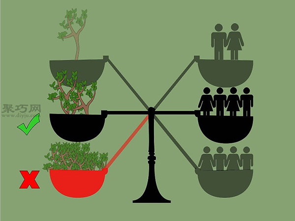 苗圃业创业都要做哪些准备工作 苗圃业创业都要做哪些准备工作 2