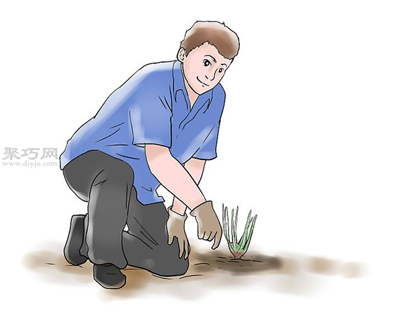 种植玫瑰花教程图解 7