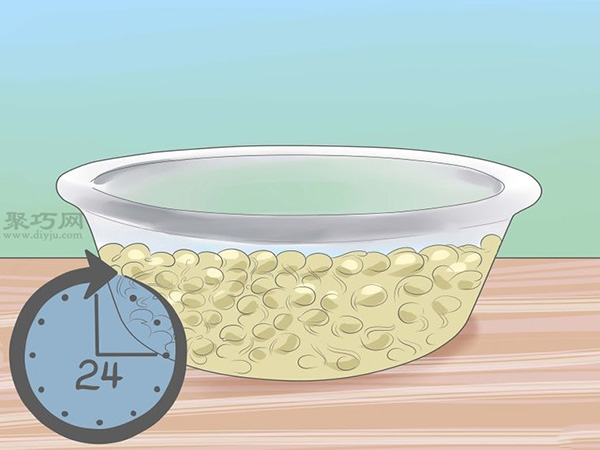 怎样让种子发芽 8