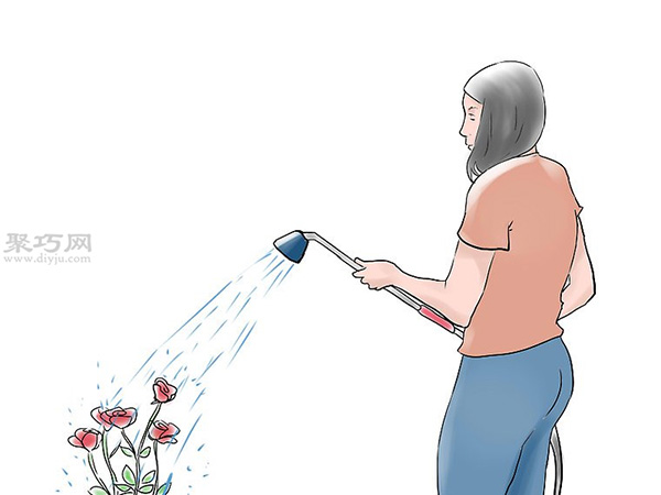 种植玫瑰花教程图解 14