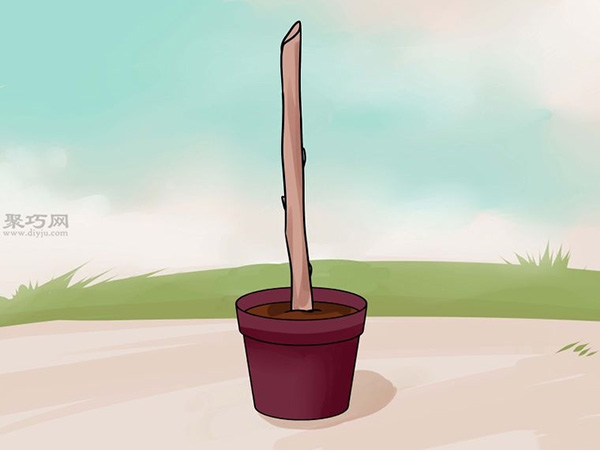 怎样用枝接法嫁接树 17