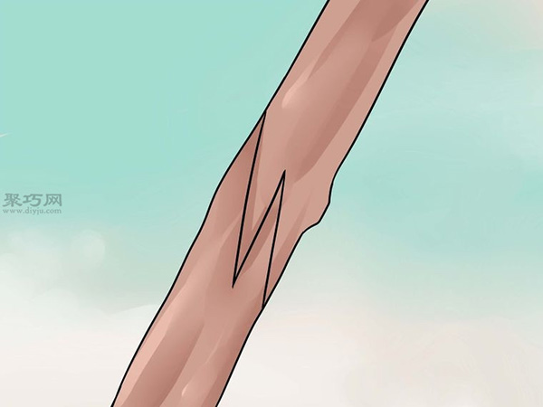 怎样用枝接法嫁接树 21