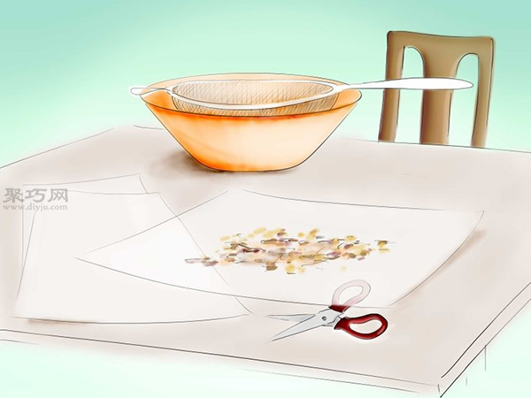 用种子种植番茄步骤 11