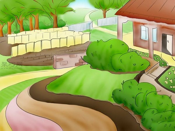 用种子种植番茄步骤 1