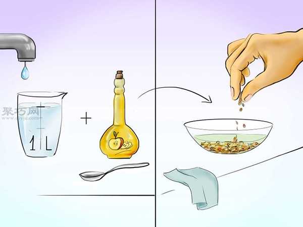 用种子种植番茄步骤 13