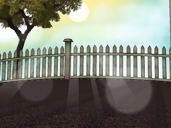 如何种植豌豆 3