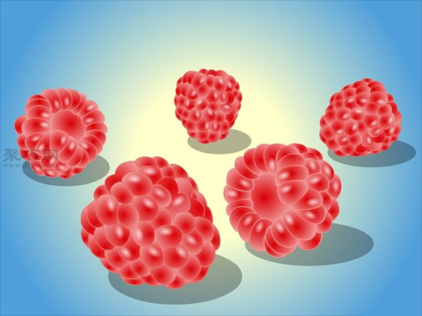 种植树莓步骤 1