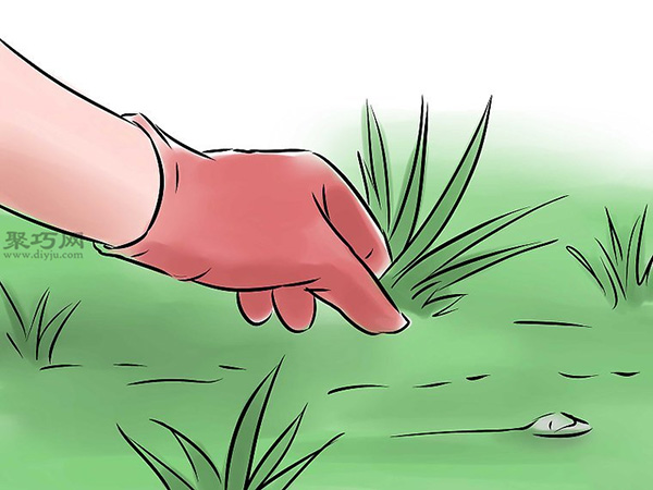 怎么样照料花园 8