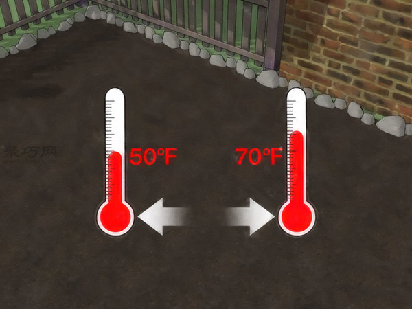 怎样种植萝卜 1