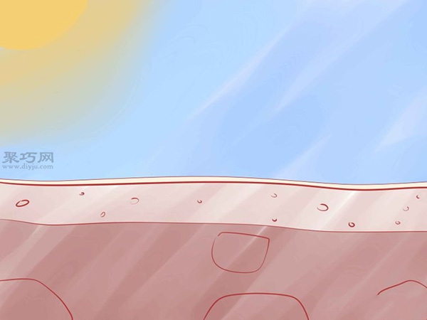 怎样种植香草 1