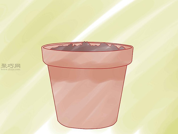 怎样种植香草 2