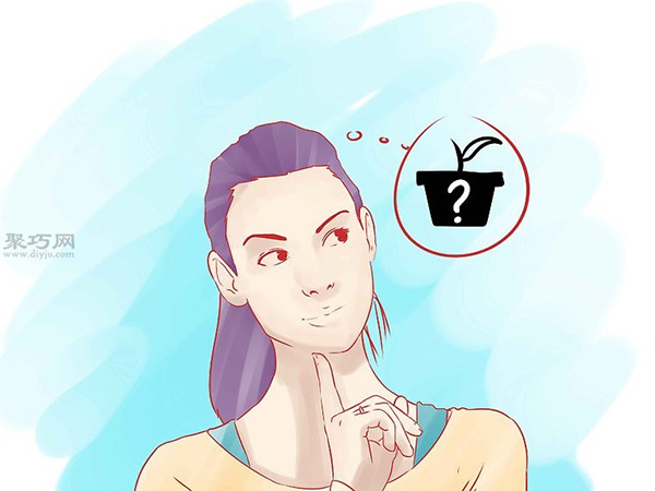 怎样种植香草 1