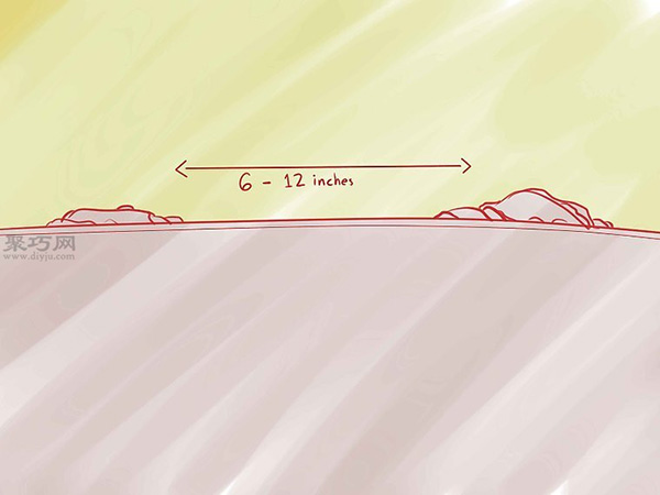 怎样种植香草 2