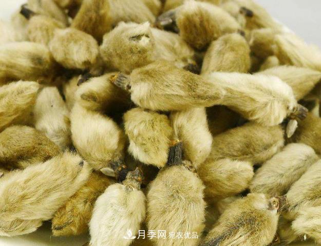 南阳市创建中药材种植示范基地(图2) 南阳市创建中药材种植示范基地(图2)