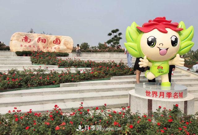 退林还耕政策下不要慌,南阳苗木人需要做好这三件事(图1) 退林还耕政策下不要慌,南阳苗木人需要做好这三件事(图1)