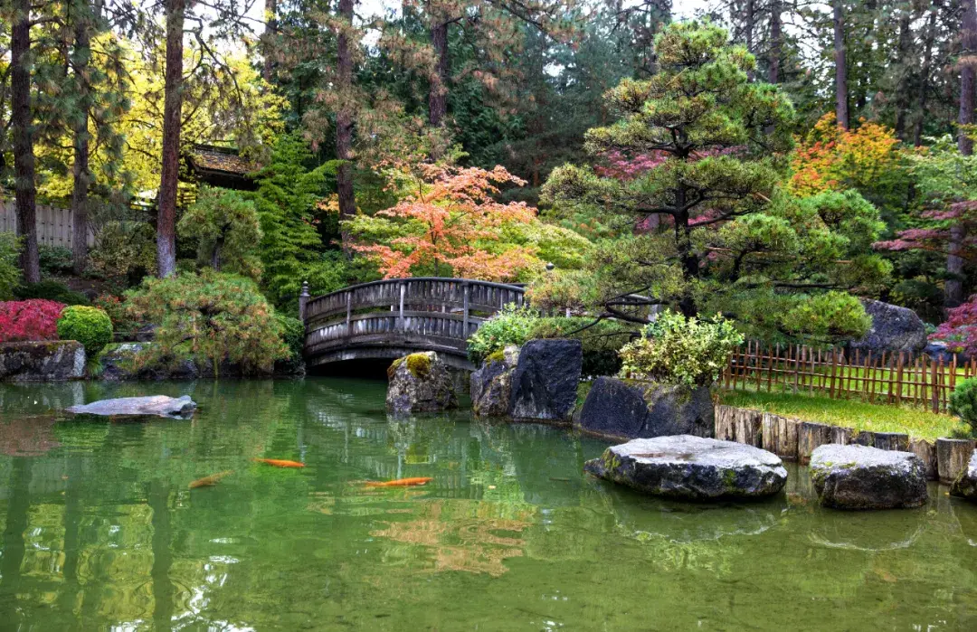 破解苗木行业需求的发展变化,弄懂才能赚钱!(图3) 破解苗木行业需求的发展变化,弄懂才能赚钱!(图3)