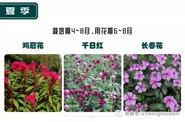 苗木必备基本常识手册(图20)