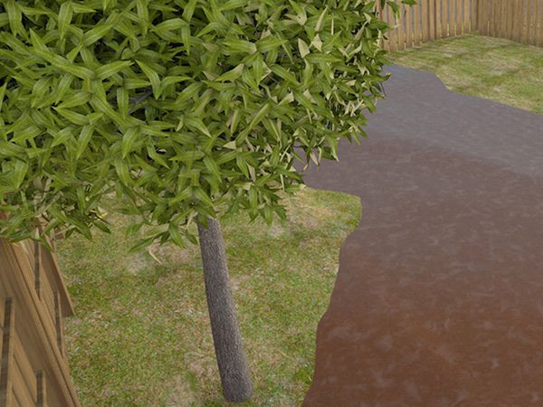 种植巨型南瓜方法 1