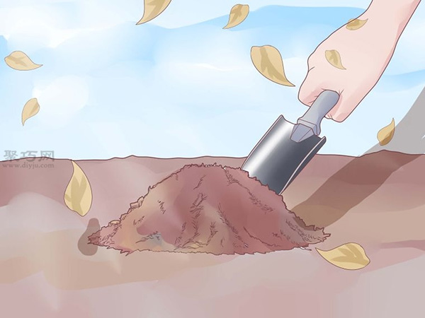 如何打理蒜苗 5