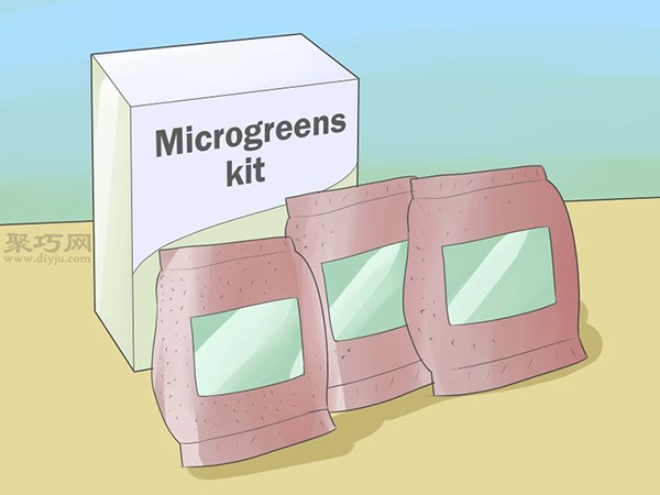 如何种植豌豆苗和沙拉植物 18