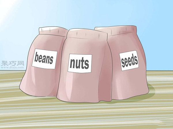 如何种植幼芽 1