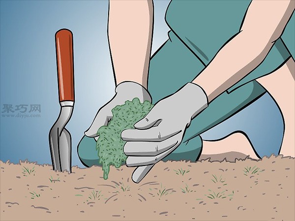 怎么样在花园/草坪上种植苔藓 5