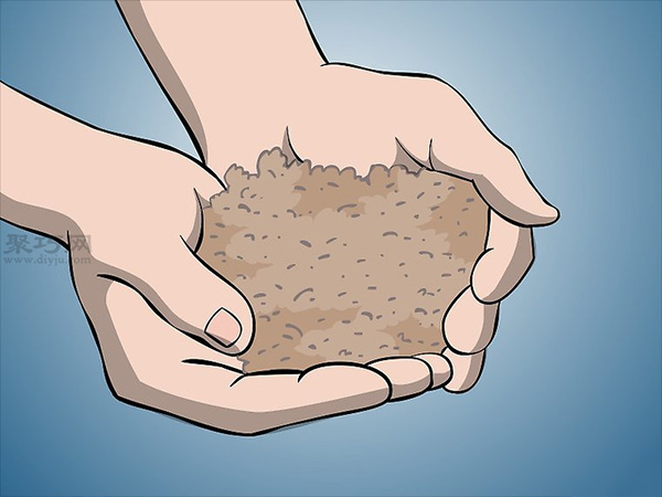 怎么样在花园/草坪上种植苔藓 6