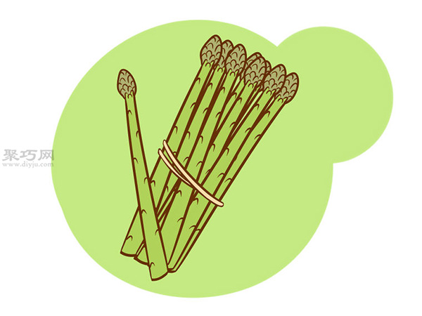 怎样收获芦笋 20